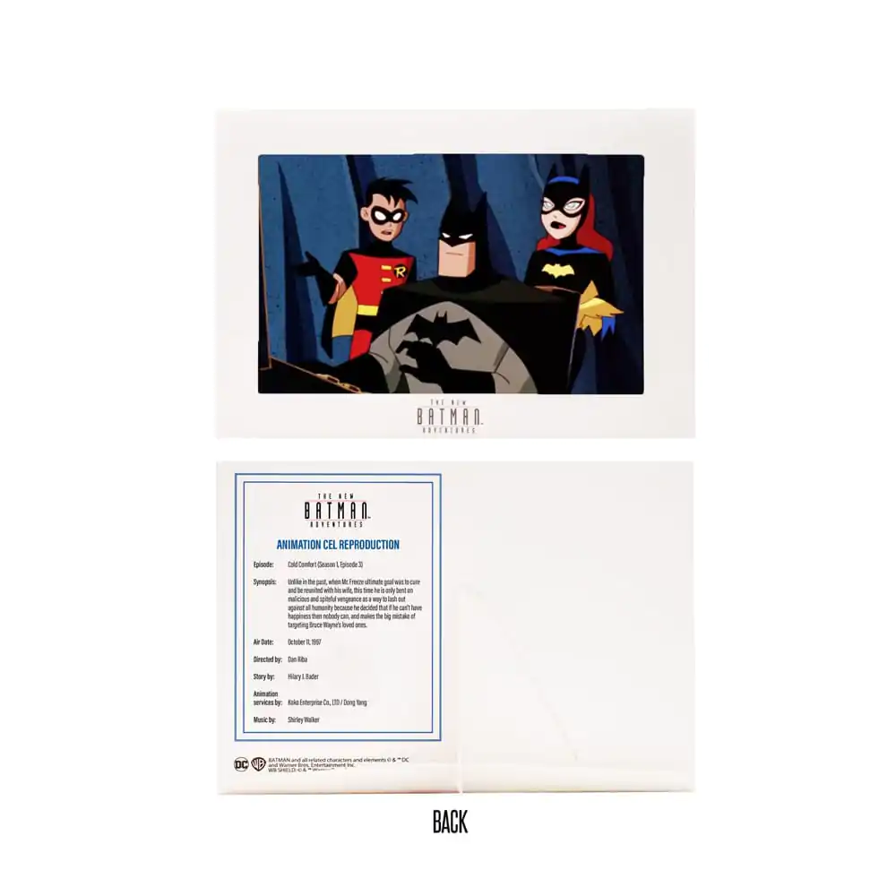 The New Batman Adventure DC Direct 1/6 Action Figure Batman (Silver) 15 cm product photo