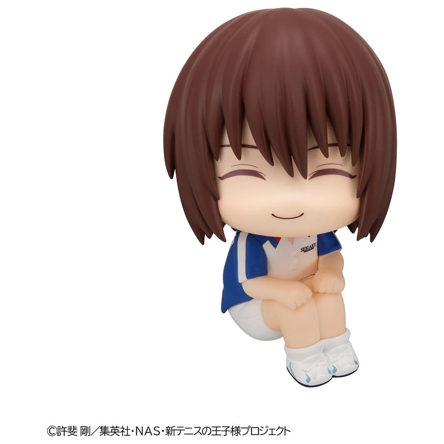 The New Prince of Tennis Look Up PVC Figure Shusuke Fuji 11 cm product photo
