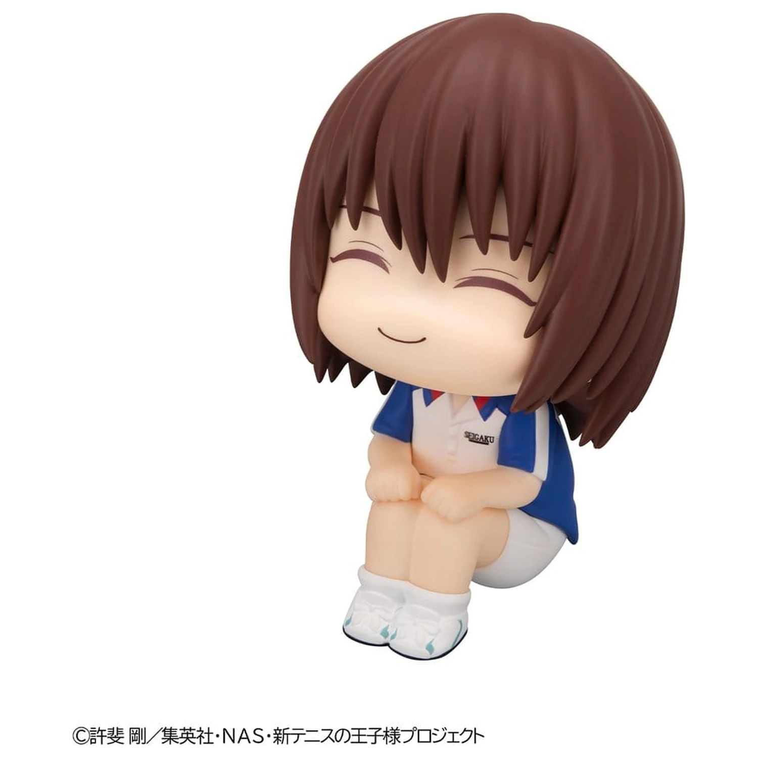 The New Prince of Tennis Look Up PVC Figure Shusuke Fuji 11 cm product photo