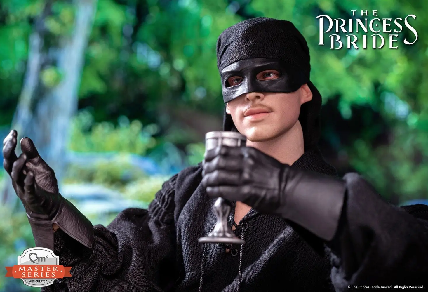 The Princess Bride Master Series Action Figure 1/6 Westley/Dread Pirate Roberts 30 cm product photo