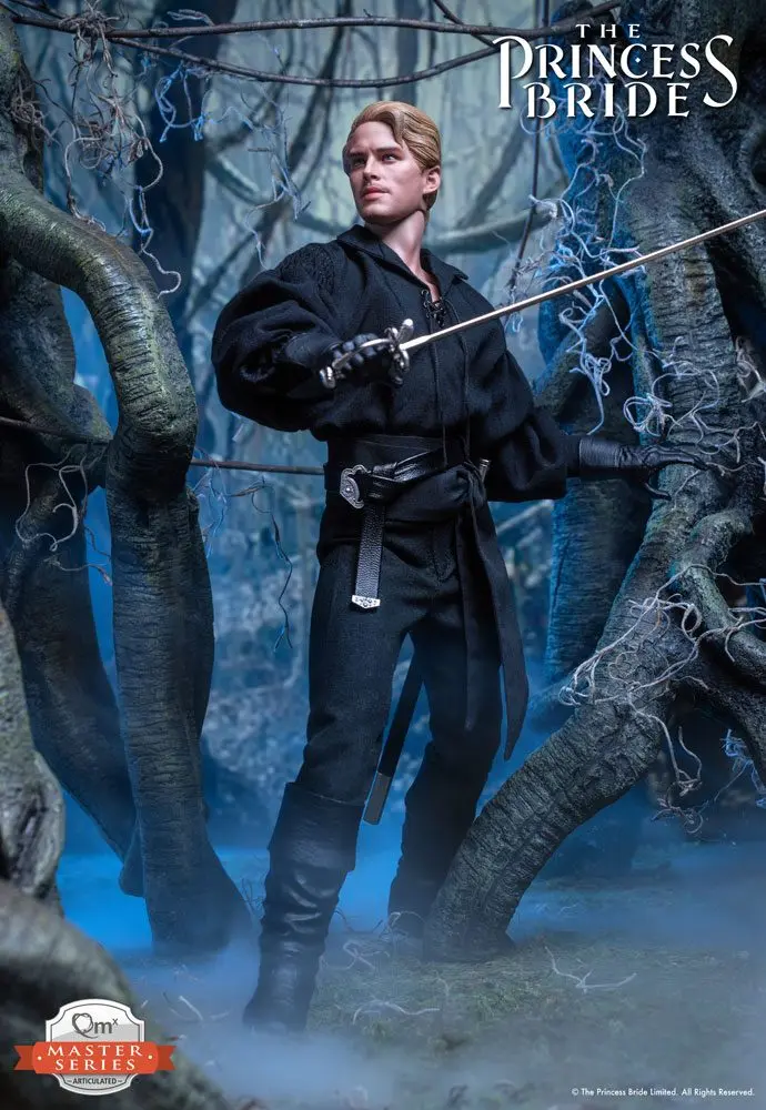 The Princess Bride Master Series Action Figure 1/6 Westley/Dread Pirate Roberts 30 cm product photo
