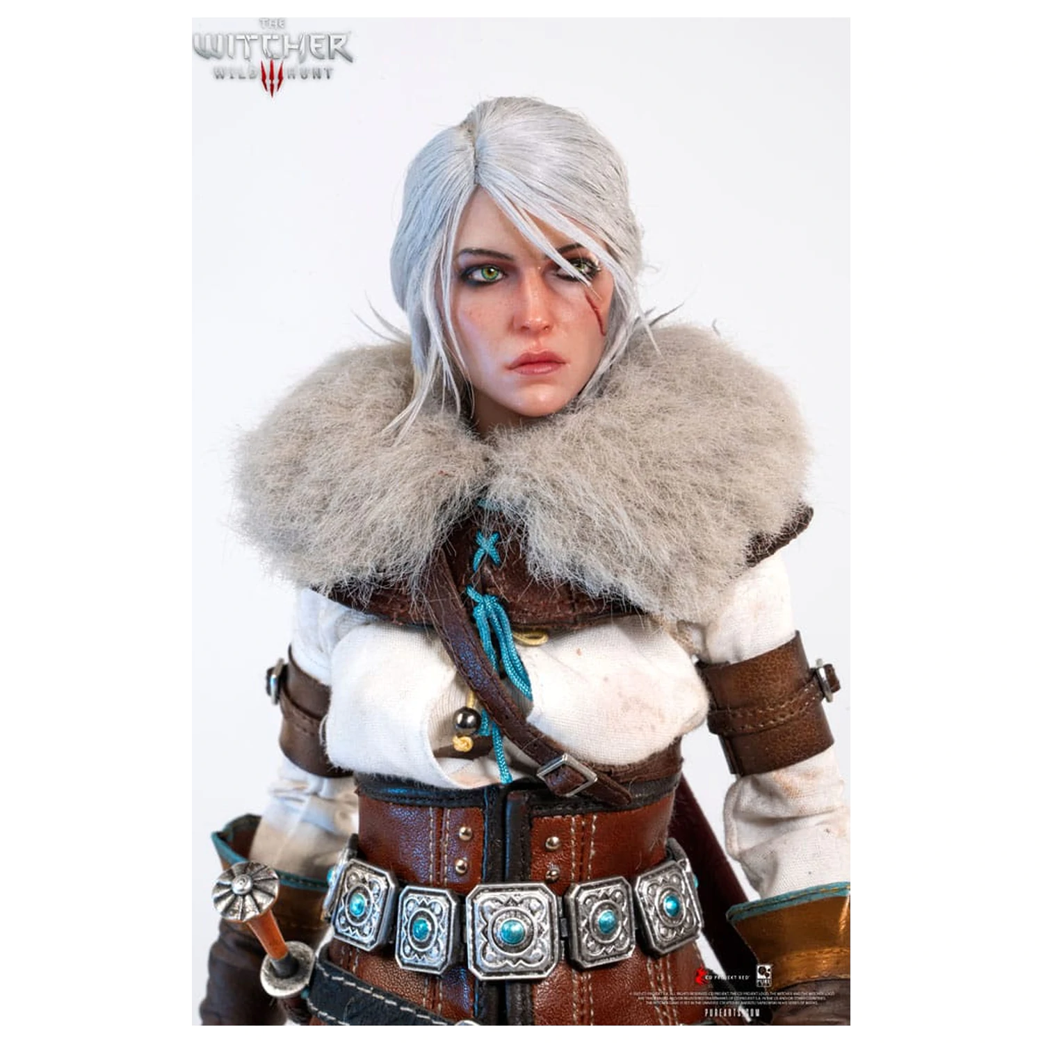 The Witcher 3: Wild Hunt Action Figure 1/6 Ciri of Cintra 30 cm product photo