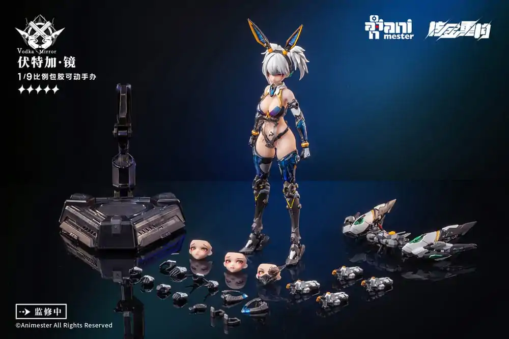 Thunderbolt Squad Seamless Action Figure 1/9 Vodka Mirror 22 cm product photo