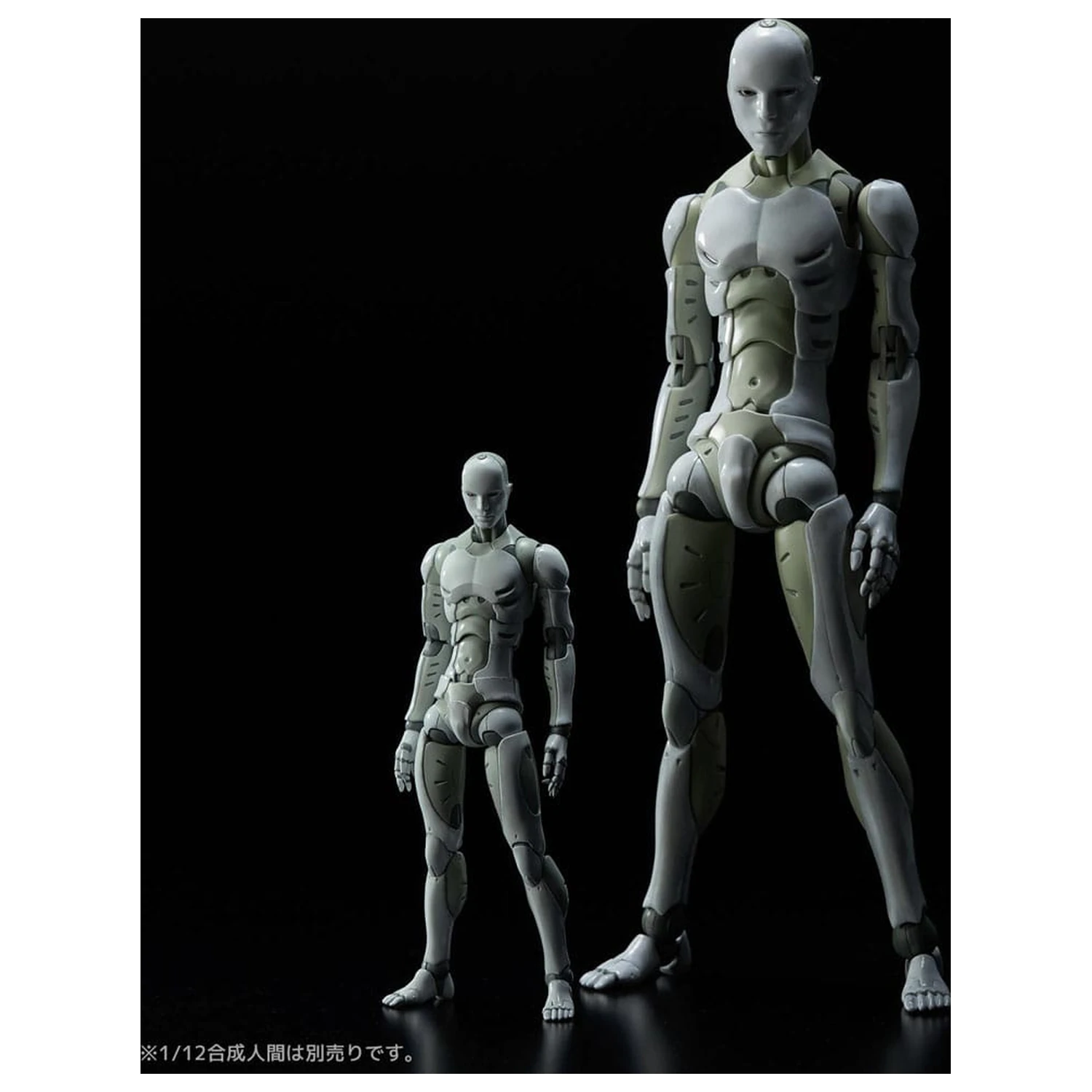 Toa Heavy Industries Action Figure 1/6 Synthetic Human 30 cm    product photo