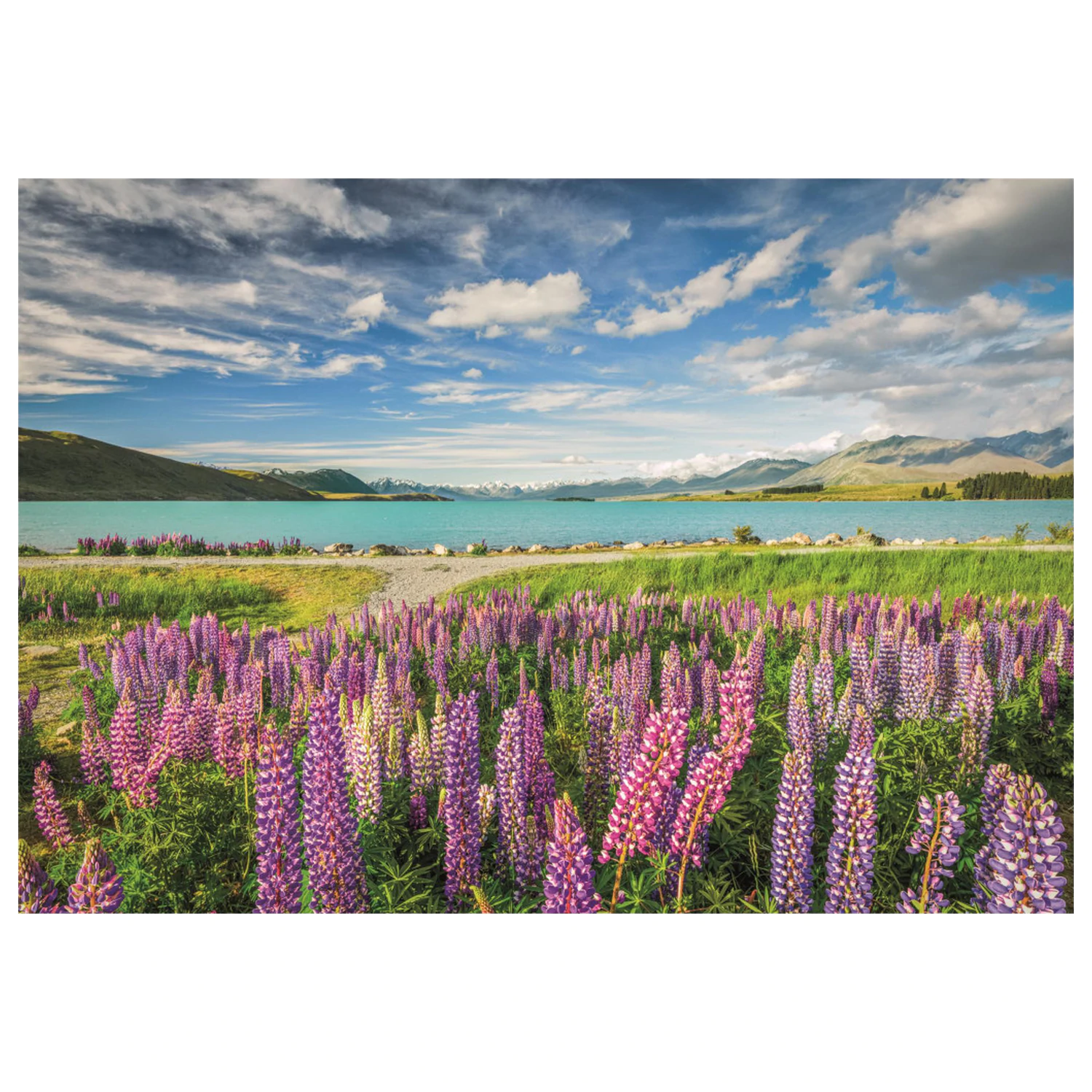 New Zealand Lake Tekapo 1500-piece puzzle product photo