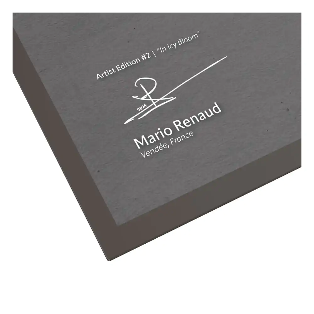 Ultimate Guard Collector's Album'n'Case Artist Edition #2 Mario Renaud: In Icy Bloom product photo