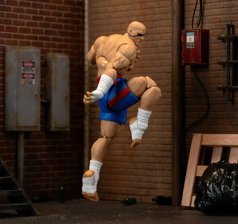 Ultra Street Fighter II: The Final Challengers Action Figure 1/12 Sagat 19 cm product photo