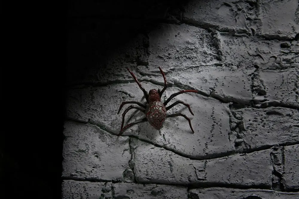 Universal Monsters Accessory Pack for Action Figures Dracula product photo