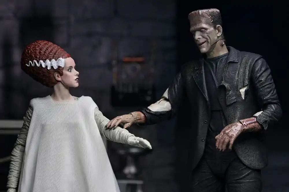 Universal Monsters Action Figures 2-Pack Bride of Frankenstein 90th Anniversary The Monster & His Mate 18 cm product photo