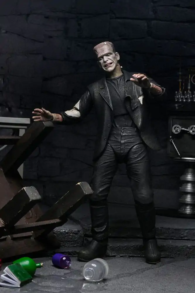 Universal Monsters Action Figures 2-Pack Bride of Frankenstein 90th Anniversary The Monster & His Mate 18 cm product photo