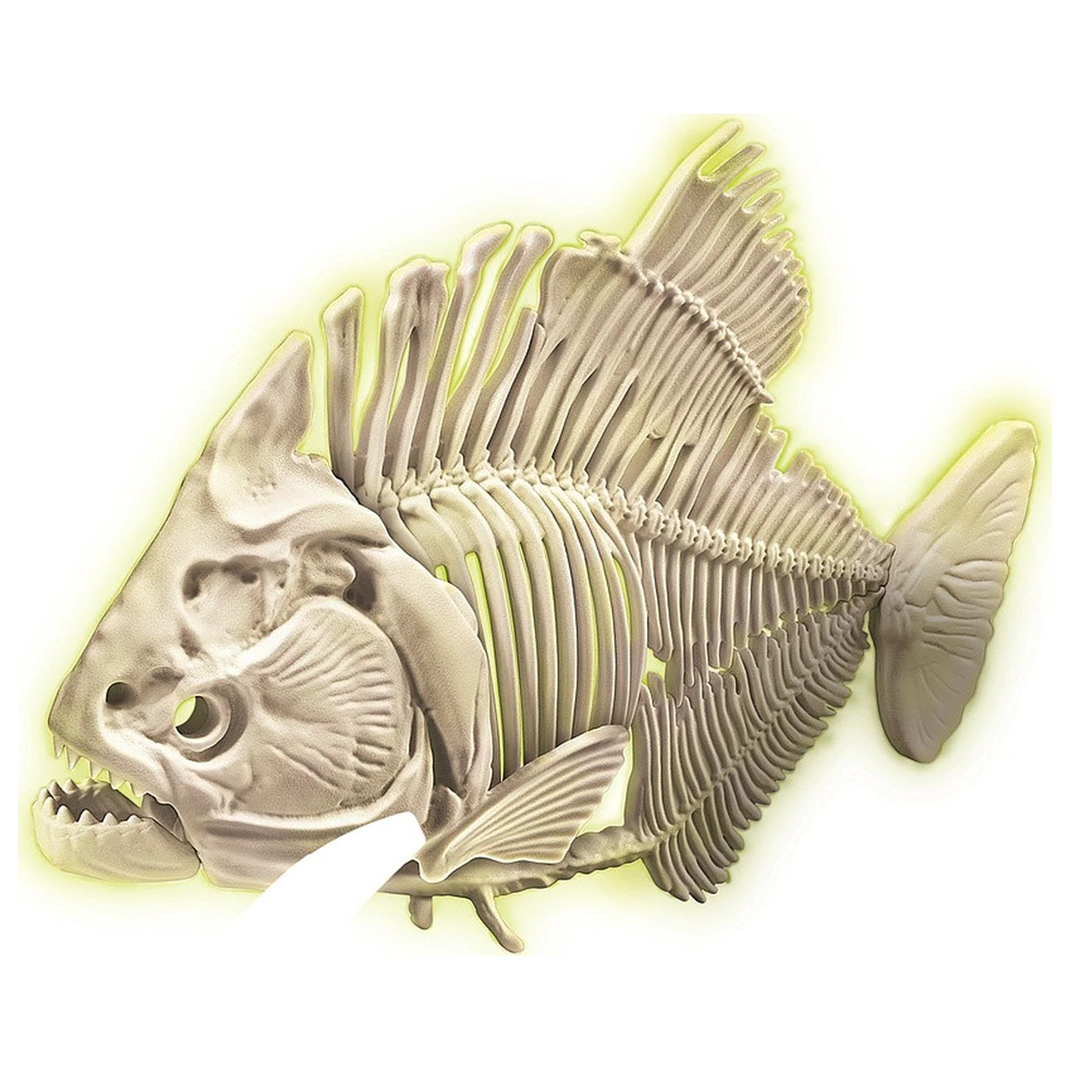 Glowing Piranha Archeo Fun Archaeological Kit product photo
