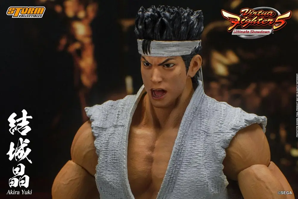 Virtua Fighter 5 Ultimate Showdown Action Figure 1/12 Akira Yuki 18 cm product photo