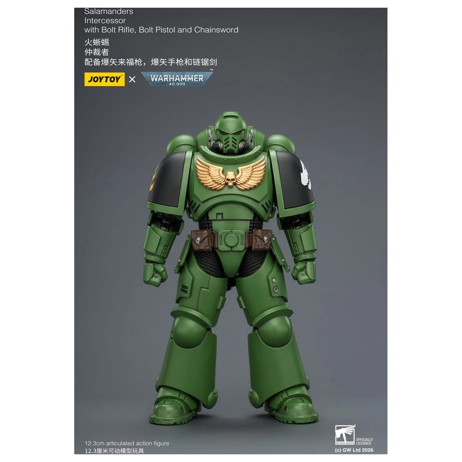 Warhammer 40,000 Action Figure Salamanders Intercessor 12 cm product photo
