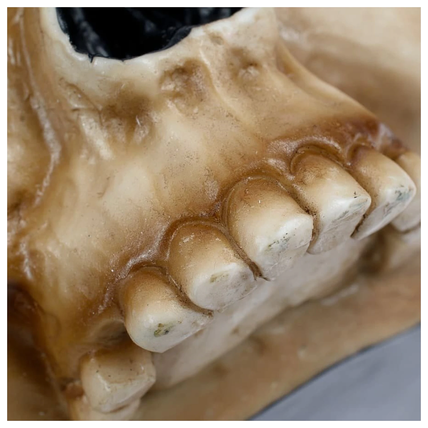 Warhammer 40,000 Mug Servo Skull product photo