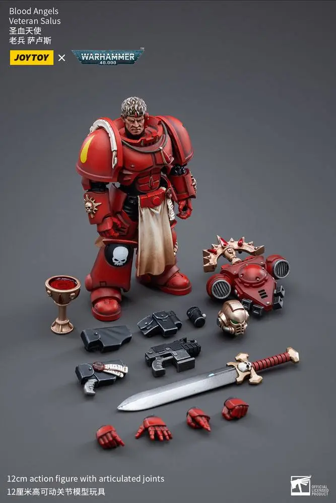 Warhammer 40k Action Figure 1/18 Blood Angels Veteran Salus 12 cm product photo