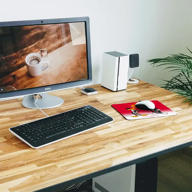 Warner Bros 100th Anniversary Looney Tunes Harry Potter Gryffindor mouse pad product photo