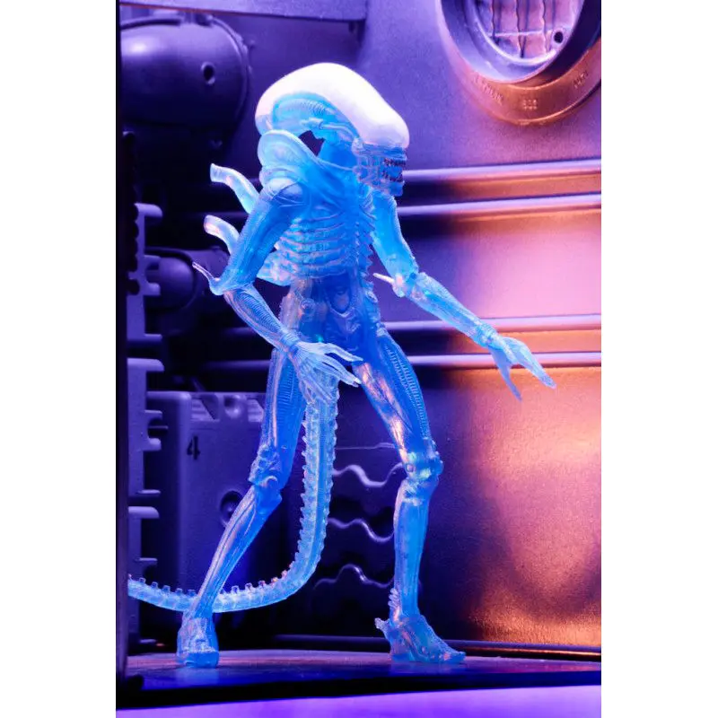 Warrior Alien figure 23cm product photo
