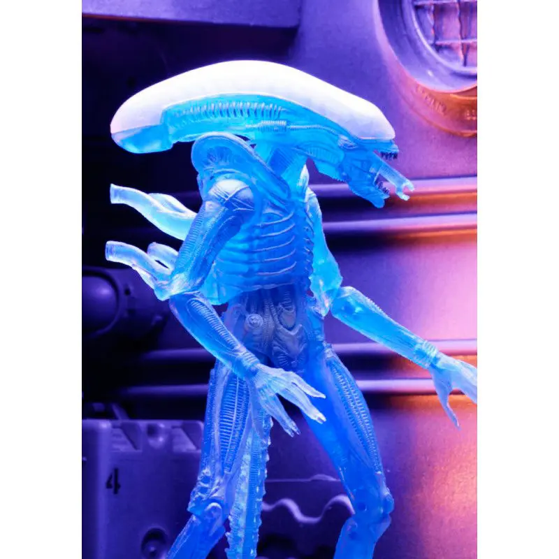 Warrior Alien figure 23cm product photo
