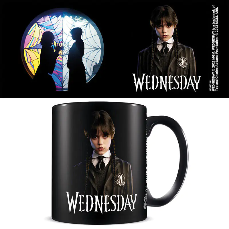 Wednesday Friendship mug 315ml product photo