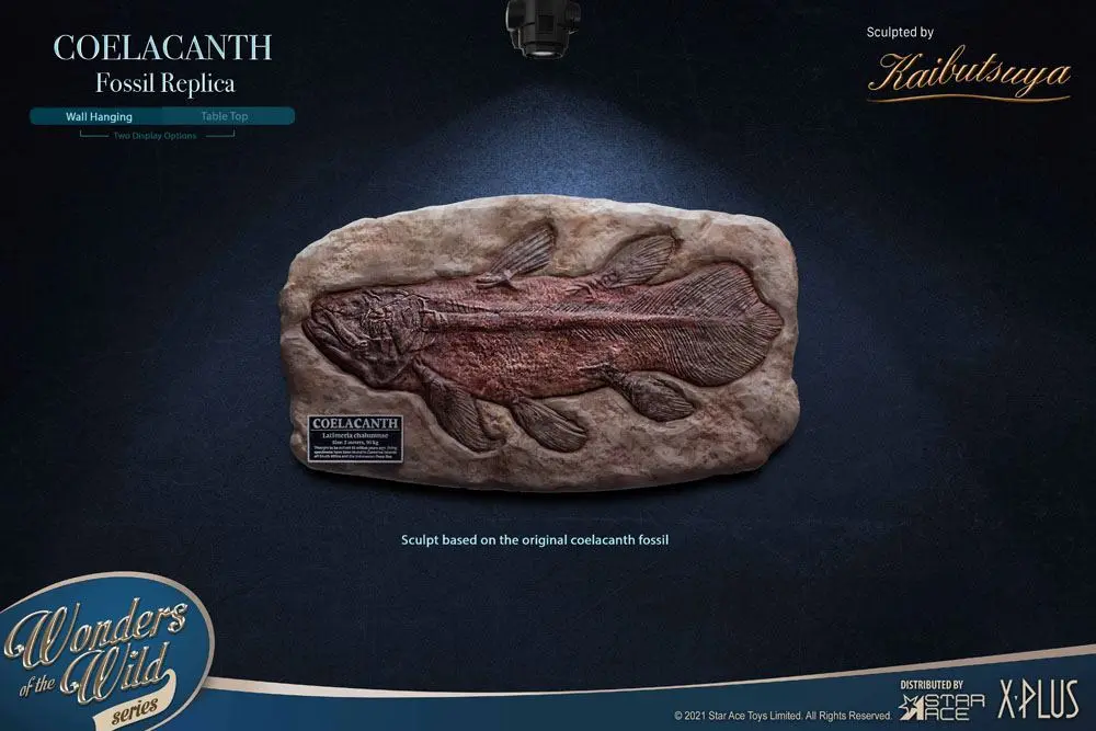 Wonders of the Wild Statue Coelacanth Deluxe Version 28 cm product photo