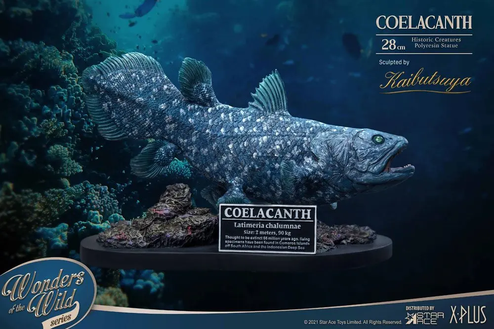 Wonders of the Wild Statue Coelacanth Deluxe Version 28 cm product photo