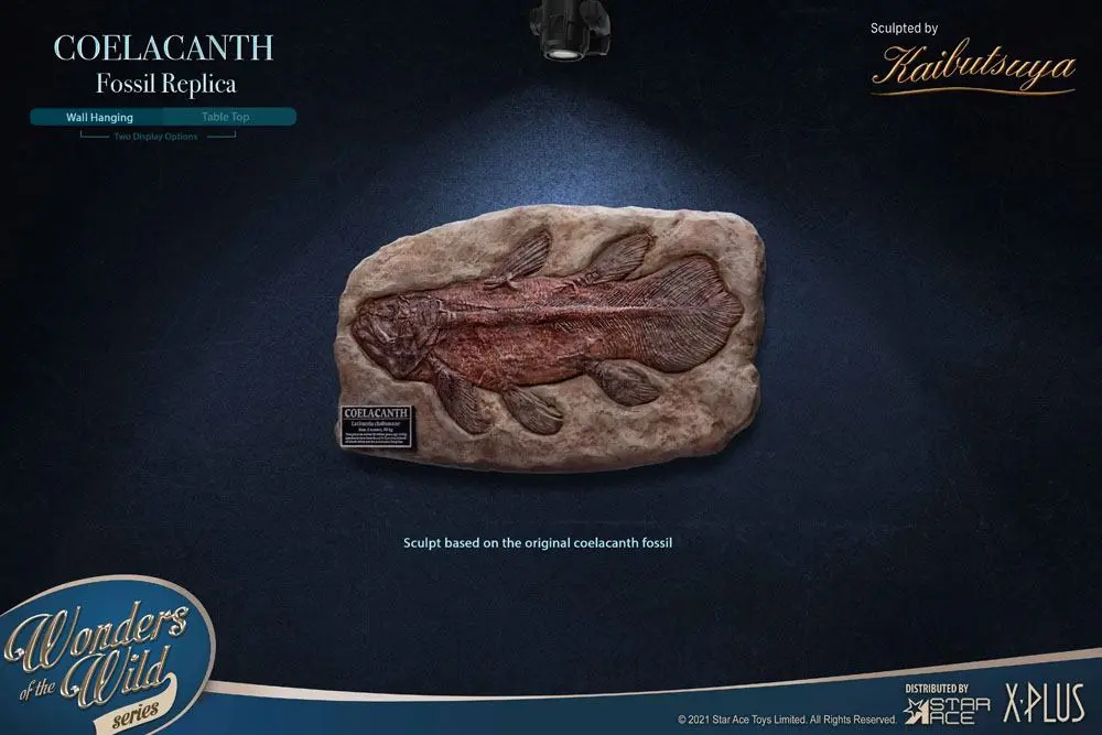 Wonders of the Wild Statue Coelacanth Deluxe Version 28 cm product photo
