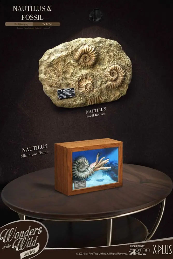 Wonders of the Wild Series Statue 1/1 Nautilus Miniature Frame &amp; Fossil 15 cm product photo
