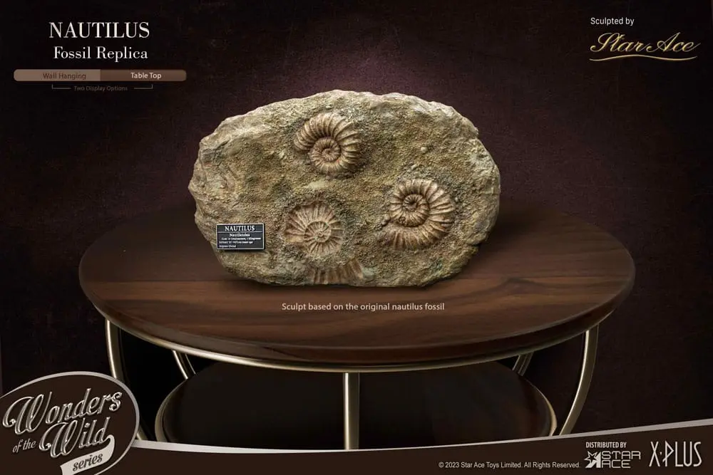 Wonders of the Wild Series Statue 1/1 Nautilus Miniature Frame &amp; Fossil 15 cm product photo