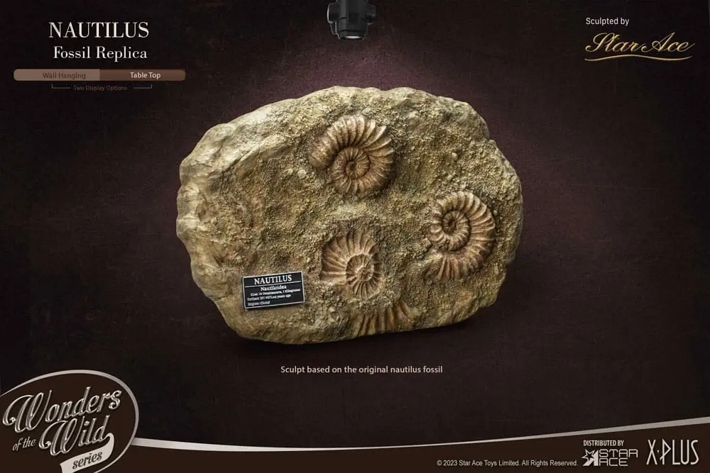 Wonders of the Wild Series Statue 1/1 Nautilus Miniature Frame &amp; Fossil 15 cm product photo