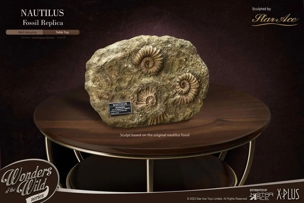 Wonders of the Wild Series Statue 1/1 Nautilus Miniature Frame &amp; Fossil 15 cm product photo