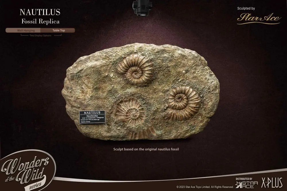 Wonders of the Wild Series Statue 1/1 Nautilus Miniature Frame &amp; Fossil 15 cm product photo