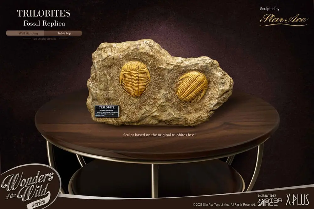 Wonders of the Wild Series Statue 1/1 Trilobites Miniature Frame &amp; Fossil 15 cm product photo