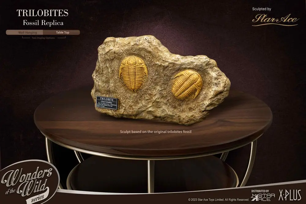 Wonders of the Wild Series Statue 1/1 Trilobites Miniature Frame &amp; Fossil 15 cm product photo