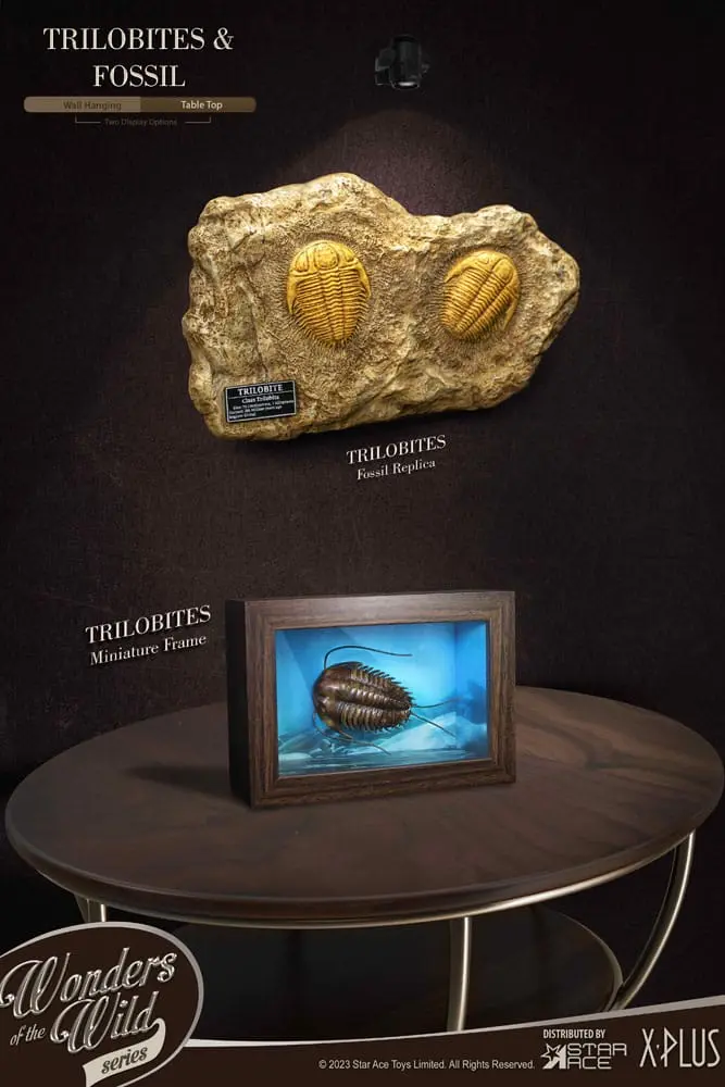 Wonders of the Wild Series Statue 1/1 Trilobites Miniature Frame &amp; Fossil 15 cm product photo