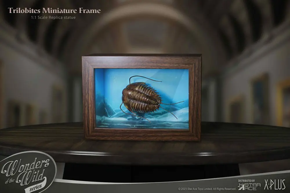 Wonders of the Wild Series Statue 1/1 Trilobites Miniature Frame 15 cm product photo