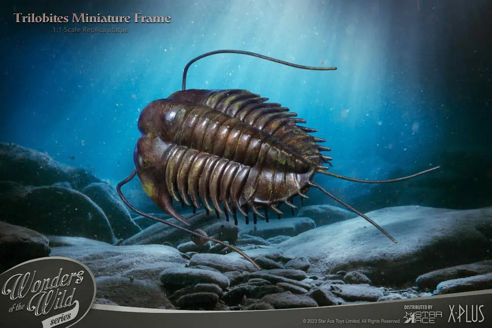 Wonders of the Wild Series Statue 1/1 Trilobites Miniature Frame 15 cm product photo