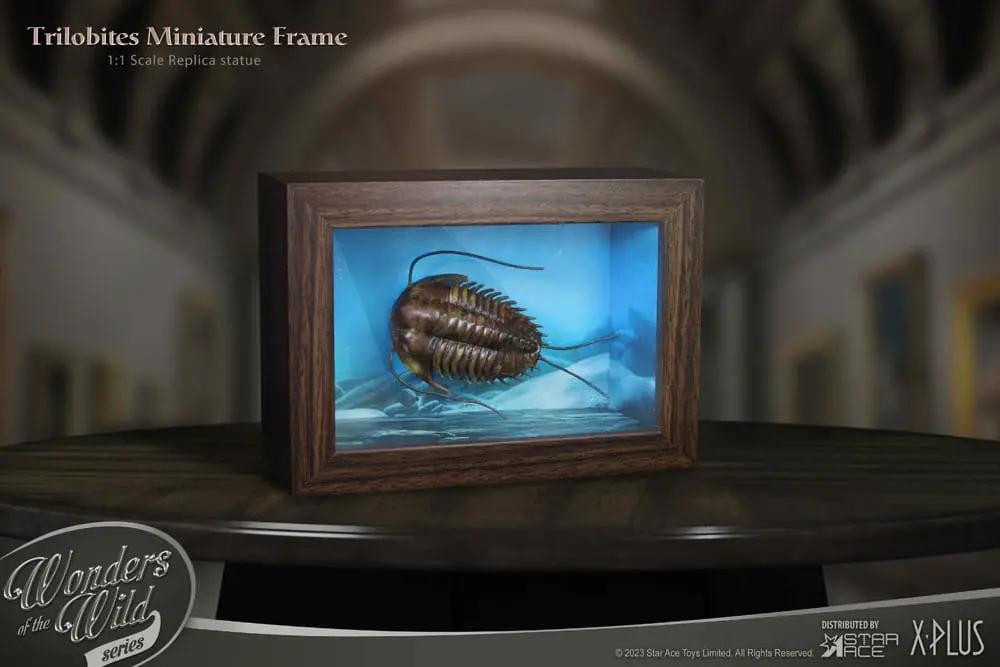 Wonders of the Wild Series Statue 1/1 Trilobites Miniature Frame 15 cm product photo