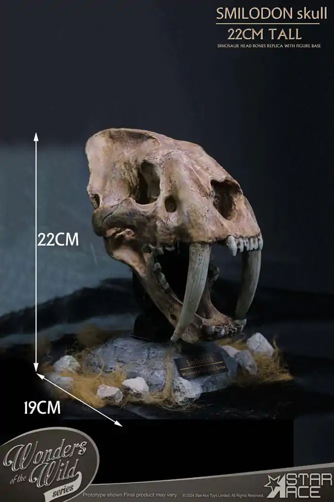 Wonders of the Wild Series Statue Smilodon Skull Fossil 22 cm termékfotó