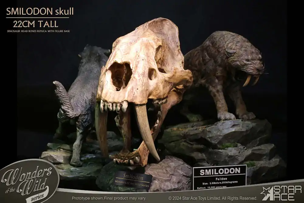 Wonders of the Wild Series Statue Smilodon Skull Fossil 22 cm termékfotó