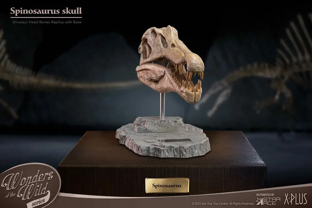 Wonders of the Wild Series Statue Spinosaurus Head Skull 30 cm product photo