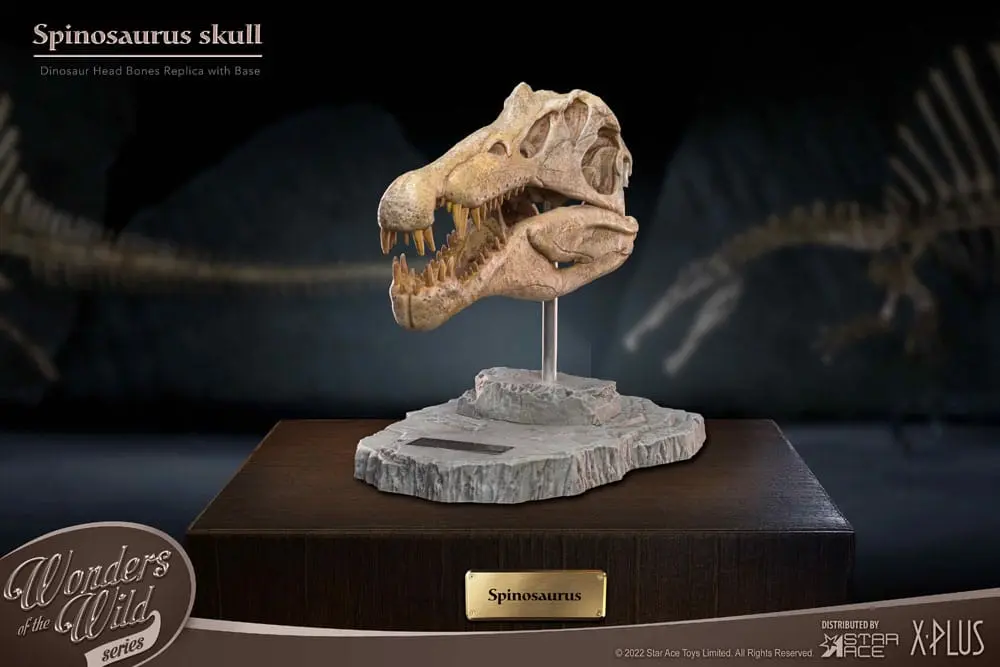 Wonders of the Wild Series Statue Spinosaurus Head Skull 30 cm product photo