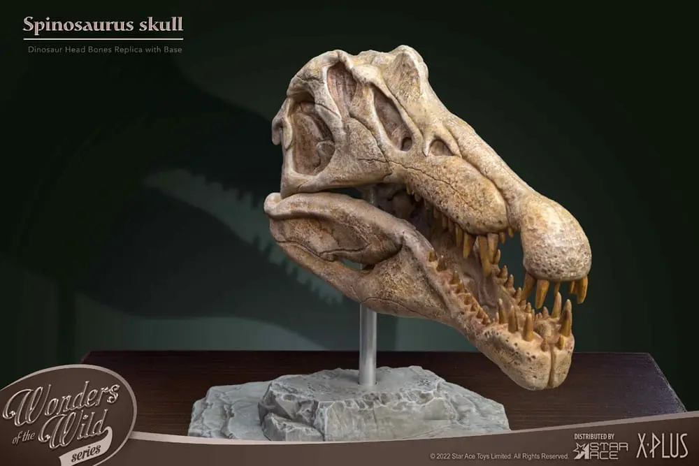 Wonders of the Wild Series Statue Spinosaurus Head Skull 30 cm product photo
