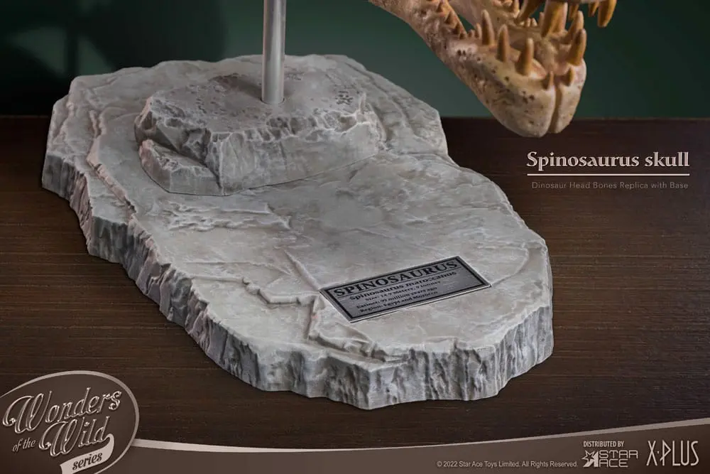 Wonders of the Wild Series Statue Spinosaurus Head Skull 30 cm product photo