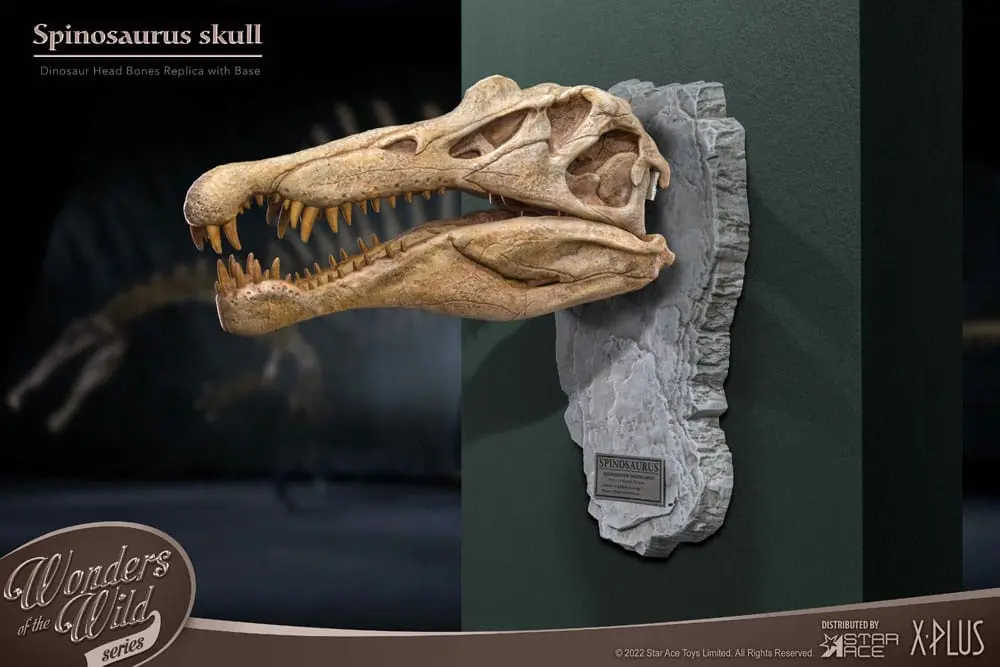 Wonders of the Wild Series Statue Spinosaurus Head Skull 30 cm product photo