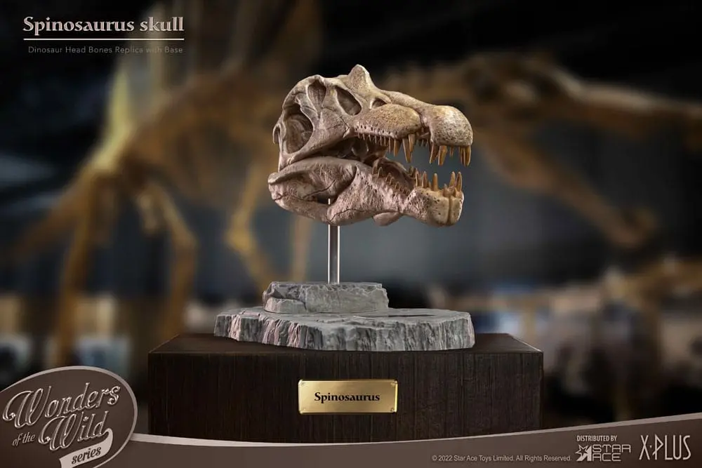 Wonders of the Wild Series Statue Spinosaurus Head Skull 30 cm product photo