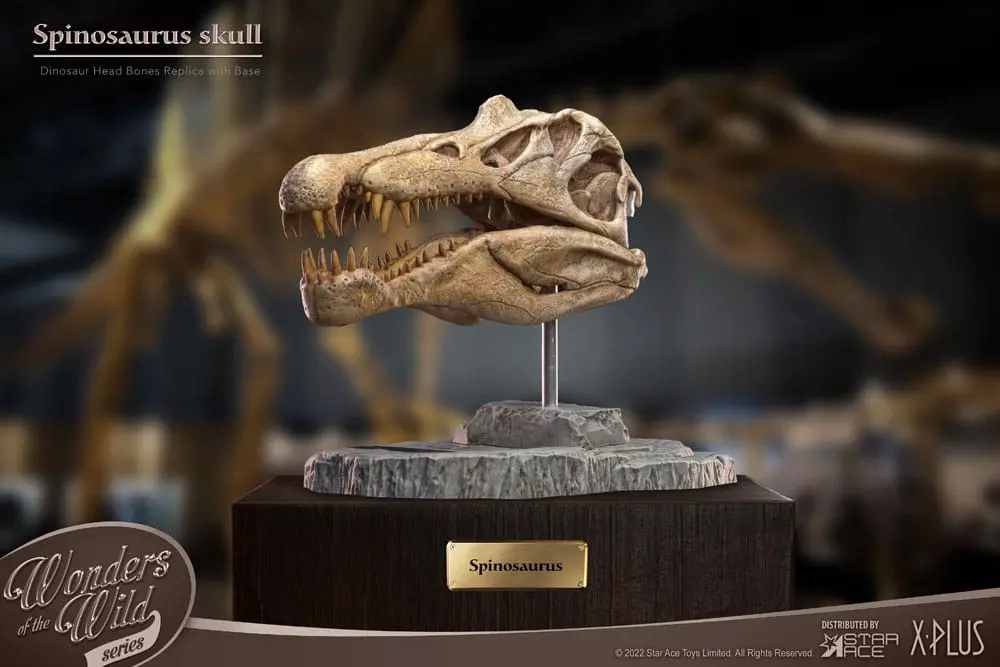 Wonders of the Wild Series Statue Spinosaurus Head Skull 30 cm product photo