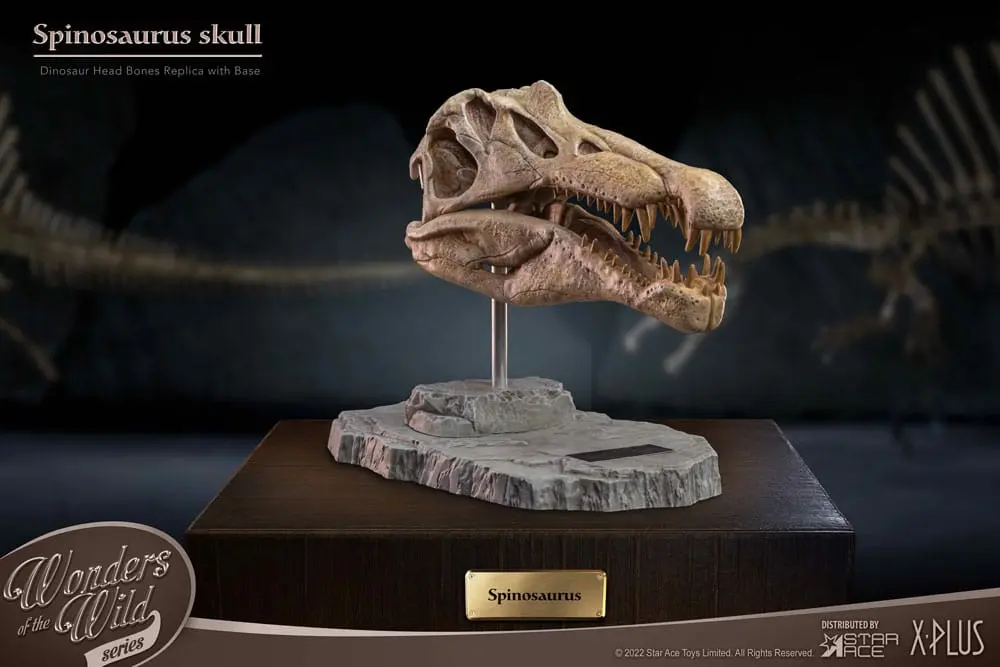 Wonders of the Wild Series Statue Spinosaurus Head Skull 30 cm product photo