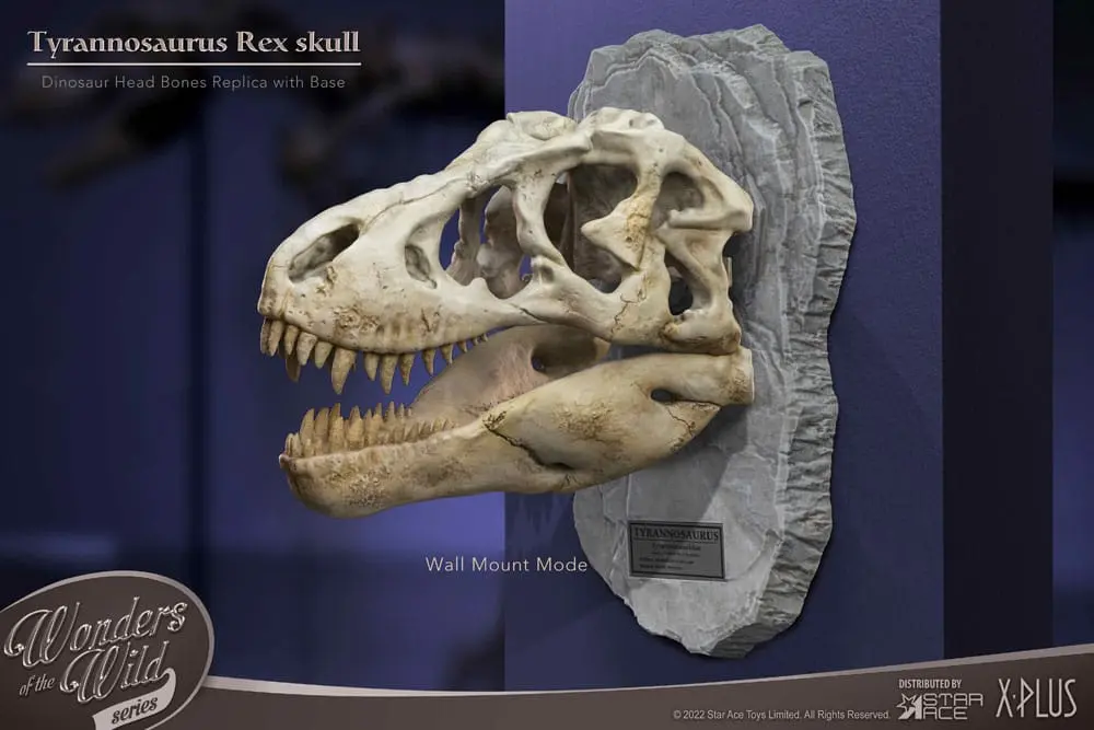 Wonders of the Wild Series Statue T-Rex Head Skull 30 cm product photo