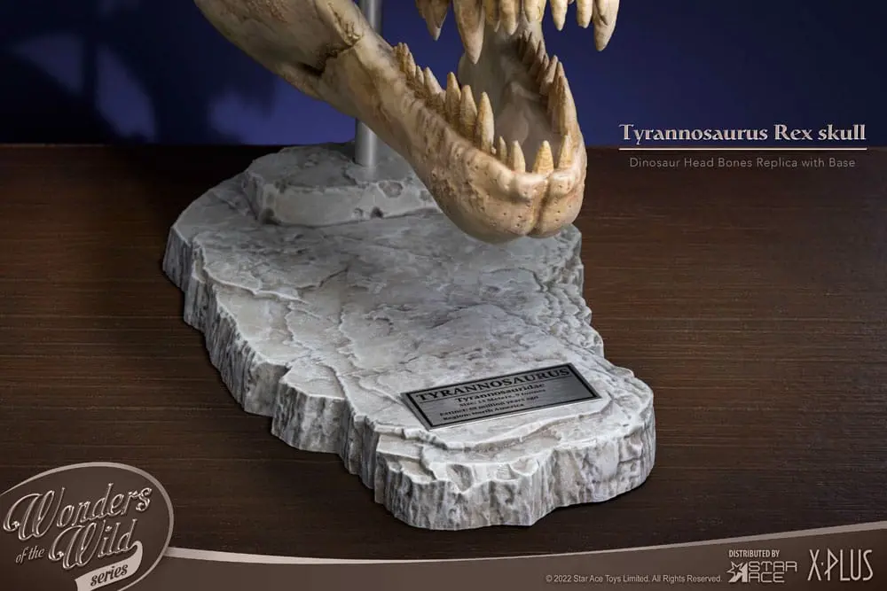 Wonders of the Wild Series Statue T-Rex Head Skull 30 cm product photo