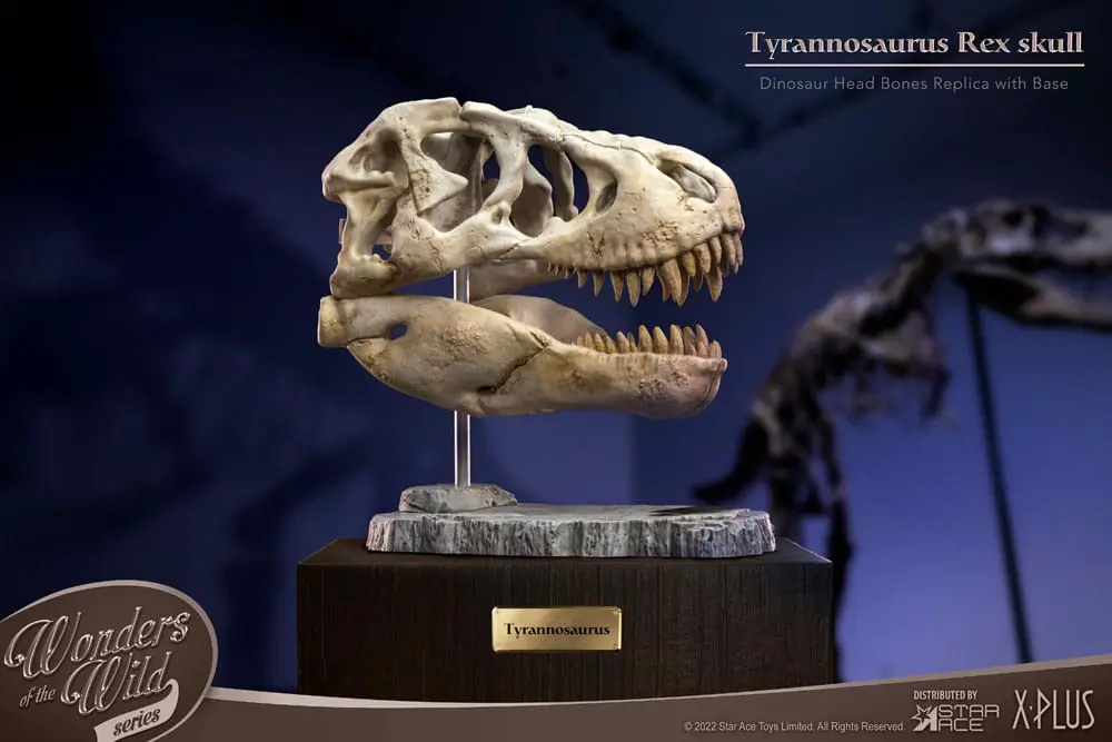 Wonders of the Wild Series Statue T-Rex Head Skull 30 cm product photo